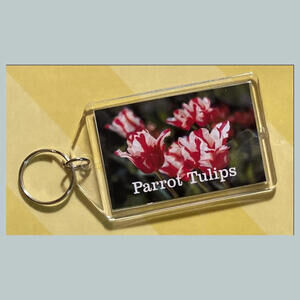 0714 Parrot Tulips Custom Hand Made Keychain